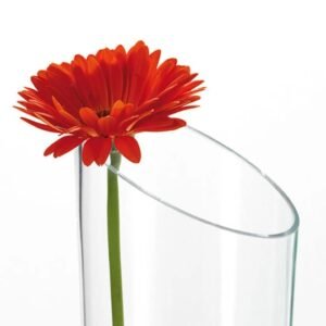 Vase en Verre Élégant